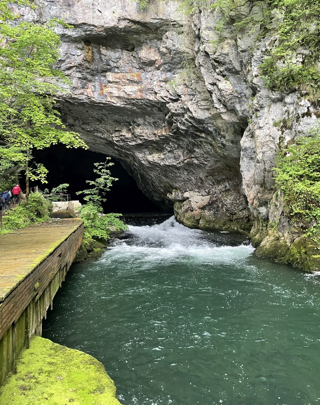 Ogled jame in vetrovnika3