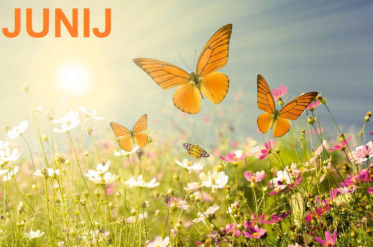 jun