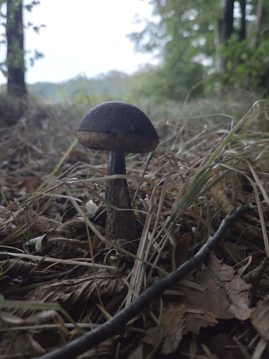 Fotografski natečaj Mladost ni norost 20251